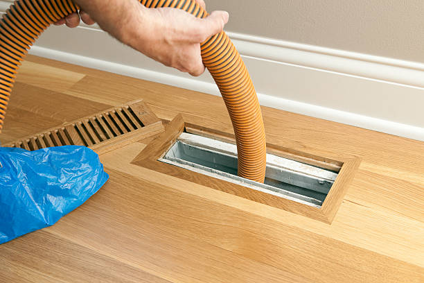 Best Air Duct Mold Removal  in Coal City, WV